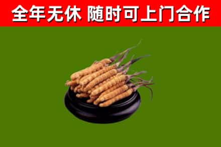 台前烟酒回收冬虫夏草.jpg